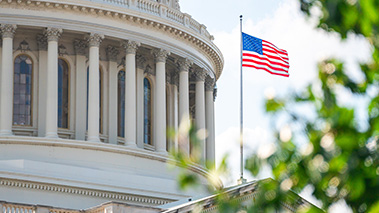 Appellate And Federal Litigation